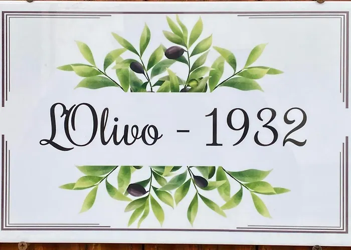 L\'Olivo - 1932