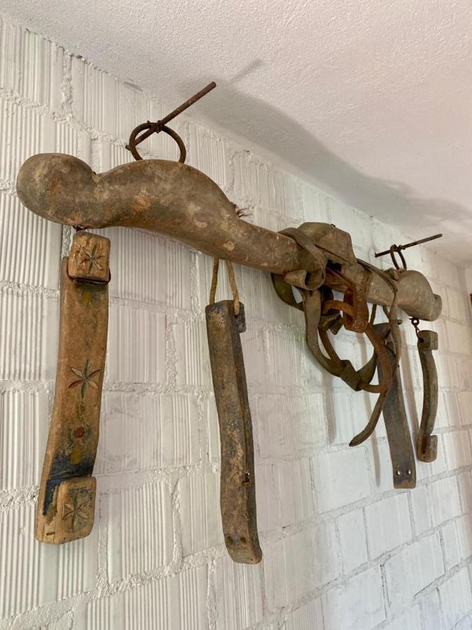Apartamento L'olivo - 1932 Controguerra
