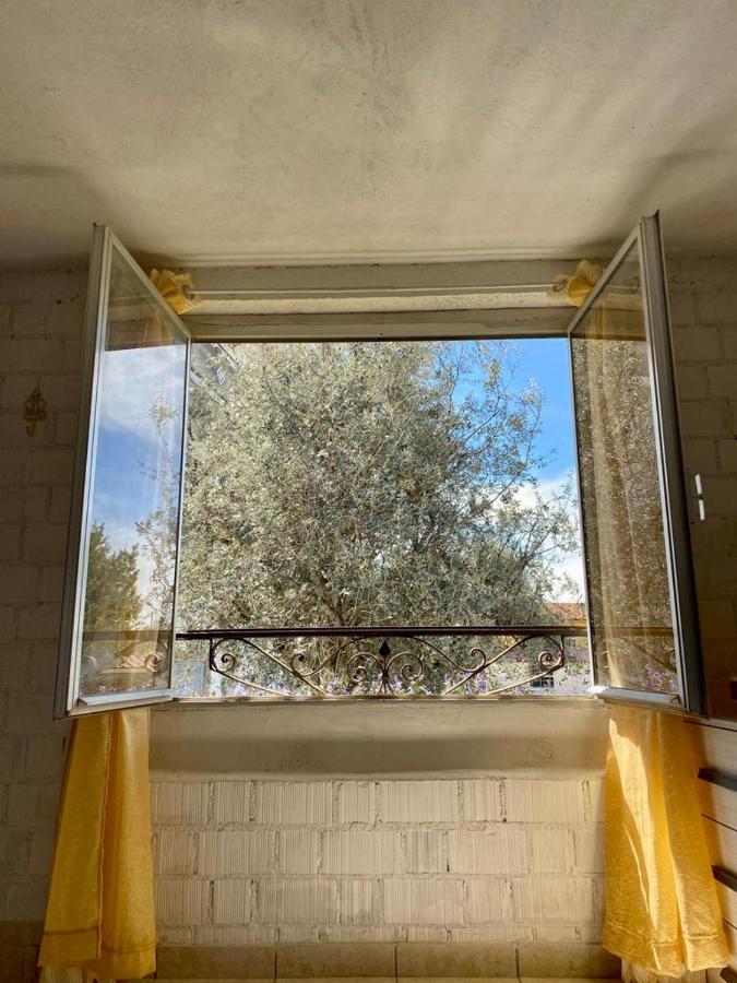 Apartment L'olivo - 1932 *